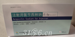 注射用氨苄西林钠招商